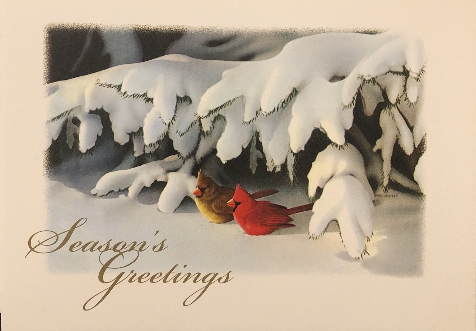Vtg Christmas Greeting Card Beautiful Pair Of Cardinals Under Snow Covered Pine