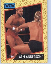 1991 Impel WCW #51 Arn Anderson
