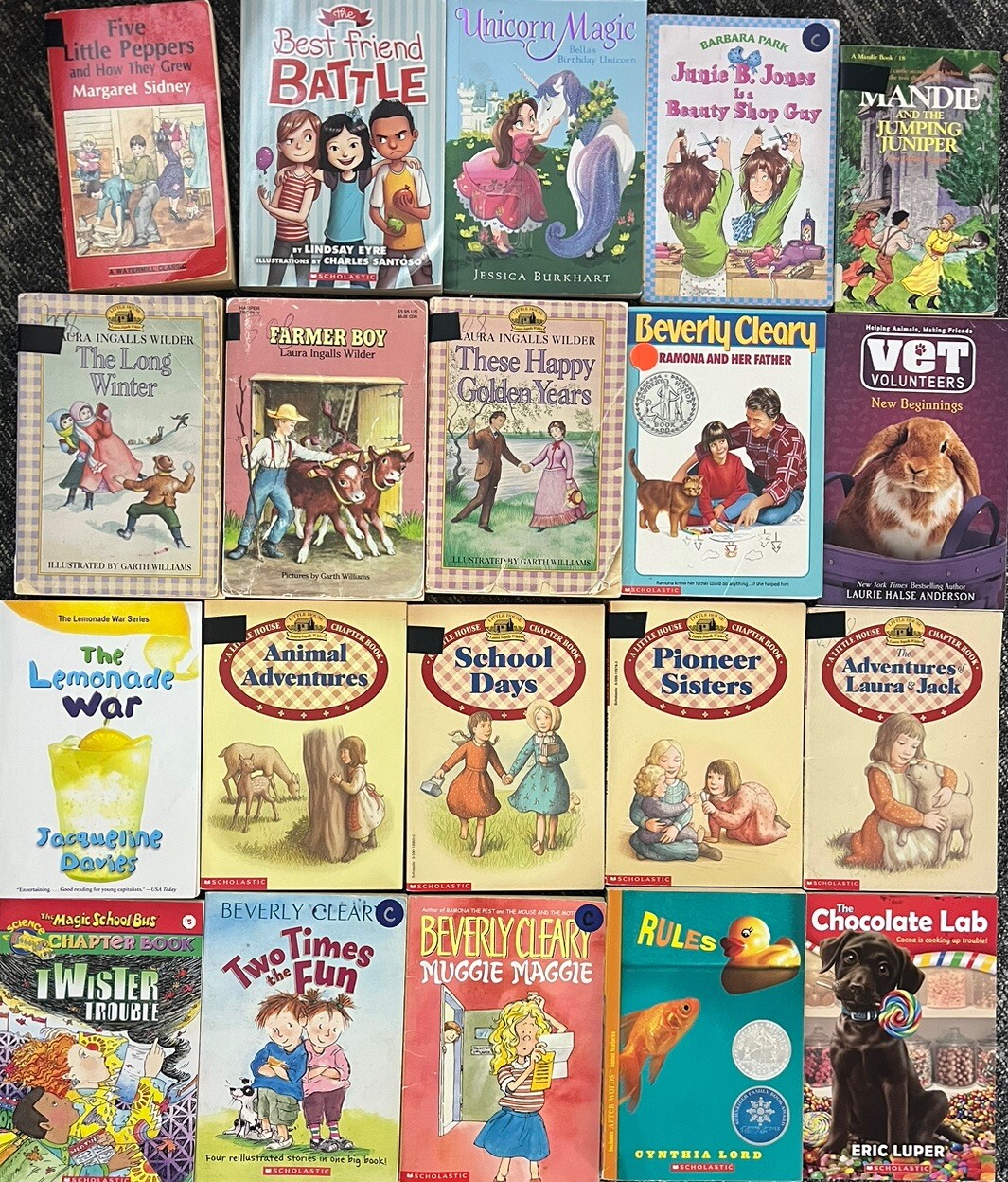 100 Children’s Chapter Books Lot Instant Library Homeschool Class Library Lot eBay