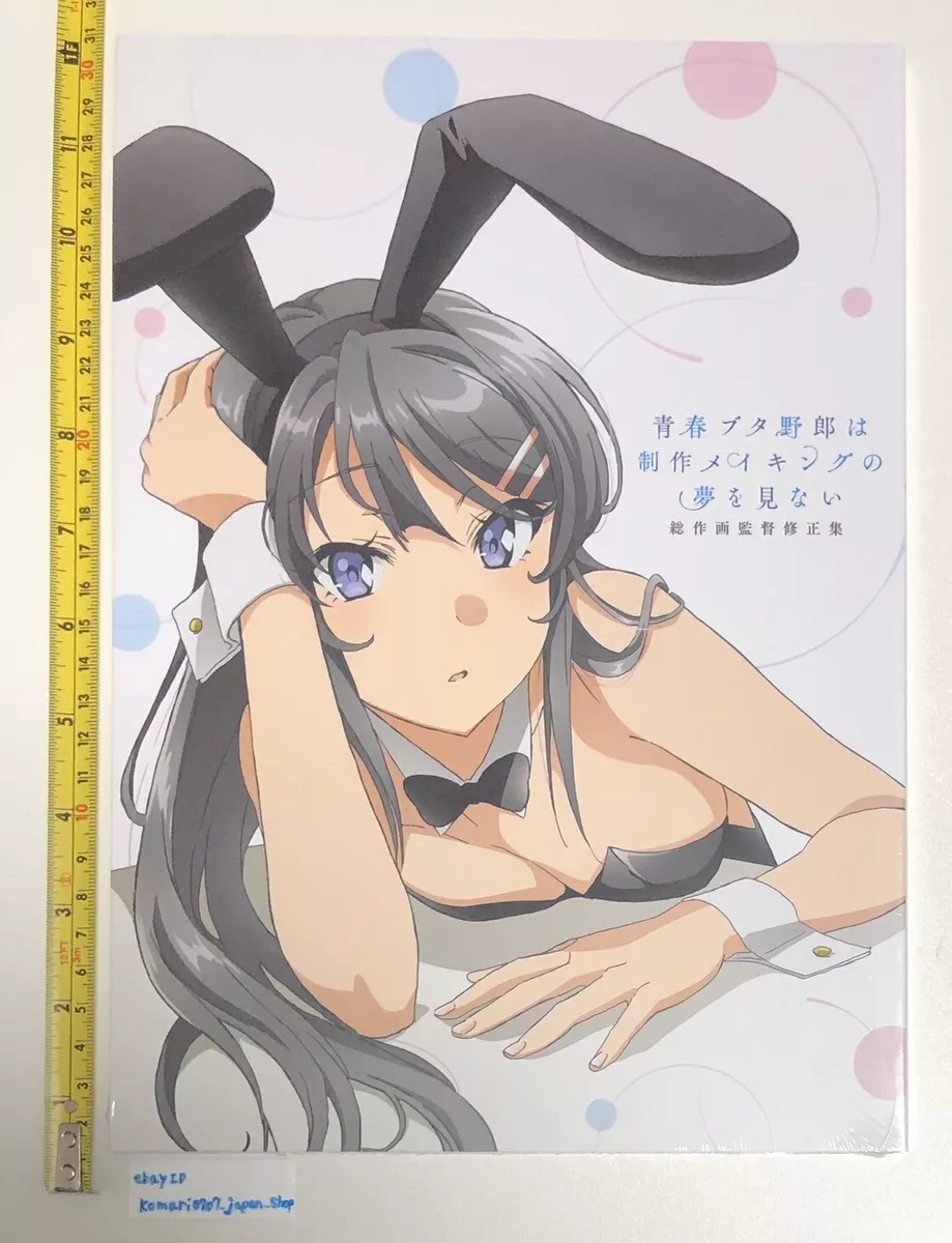 Seishun Buta Yarou to get a new anime