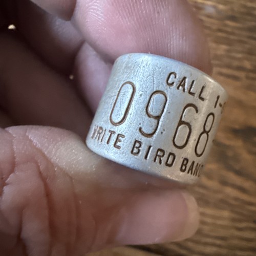 Vintage Canada Goose Leg Band 0968——laurel Maryland Call Unreported ?