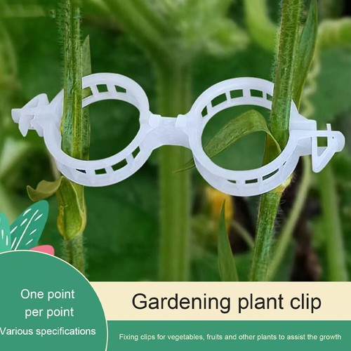 1000Pcs Tomato Clips 32 mm Trellis Support Vegetable Garden Plant Binder - Picture 10 of 12