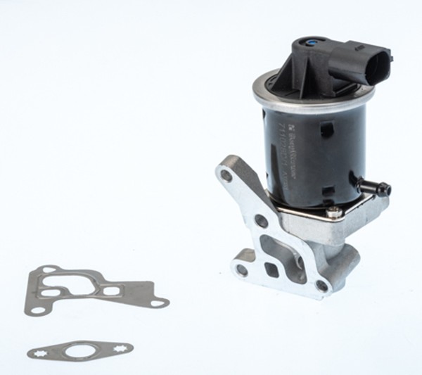 Borgwarner (Wahler) AGR Ventil 711028D/1 FüR VW Lupo 1 6X1 6E1 Polo 6N2 Playa 3-image