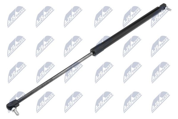 Nty Gasfeder, Koffer-/Laderaum AE-CH-045-image
