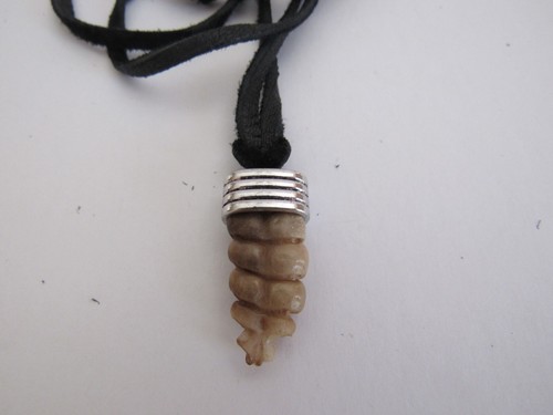 Rattlesnake Rattle Pendant Snake Necklace Animal Bone Jewelry kids N4872 - Imagen 6 de 6