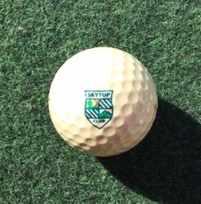 SKYTOP CLUB LOGO GOLF BALL POCONO MOUNTAIN PA 1980s VINTAGE Some Yellow From Age