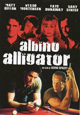 Albino Alligator - - V454176