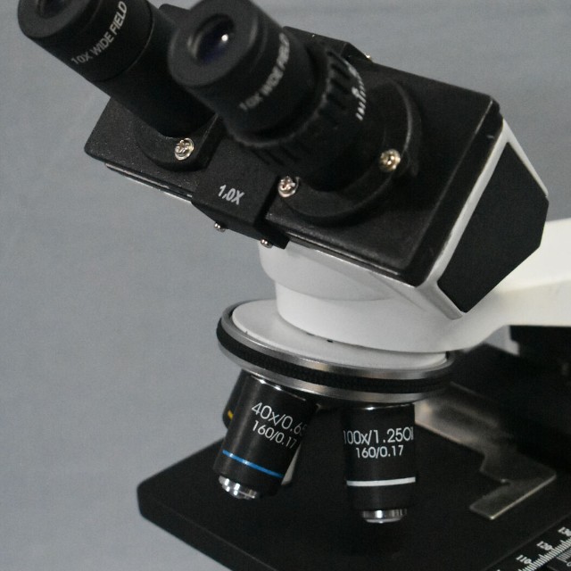 Compound Microscope      M523