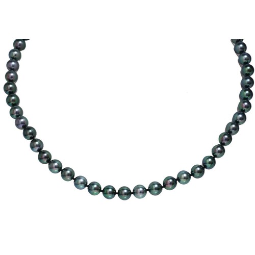 Akoya Pearl Necklace 7.5 - 8 MM AAA Flawless 14kt Yellow Gold 18" Black Green - Picture 2 of 3