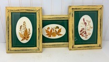 Vintage Set of 3 Wooden Framed and Matted Pressed Leaves Flowers
