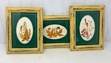 Vintage Set of 3 Wooden Framed and Matted Pressed Leaves Flowers