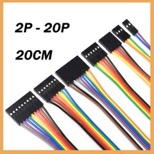 2-20 Way Dupont Cables 2.54mm F-f Ribbon Connector Wire Cable Flat 20cm