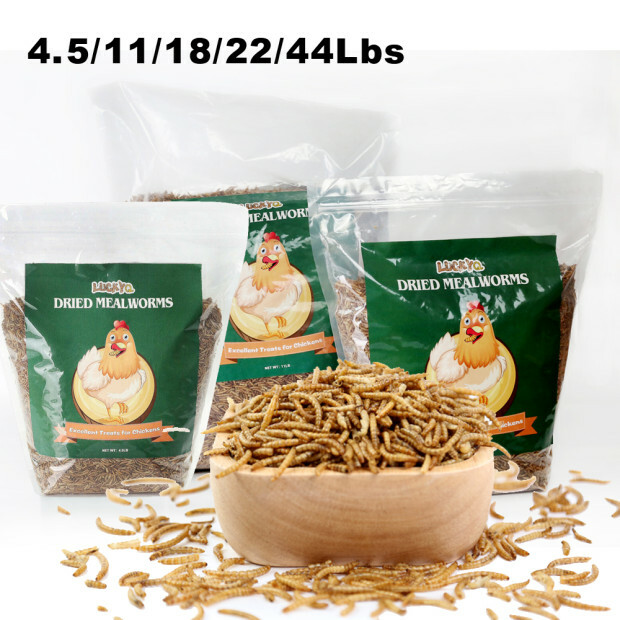 10Lb Freeze Dried Mealworms for chickens Chicken Treats Duck Feed Organic Worms eBay