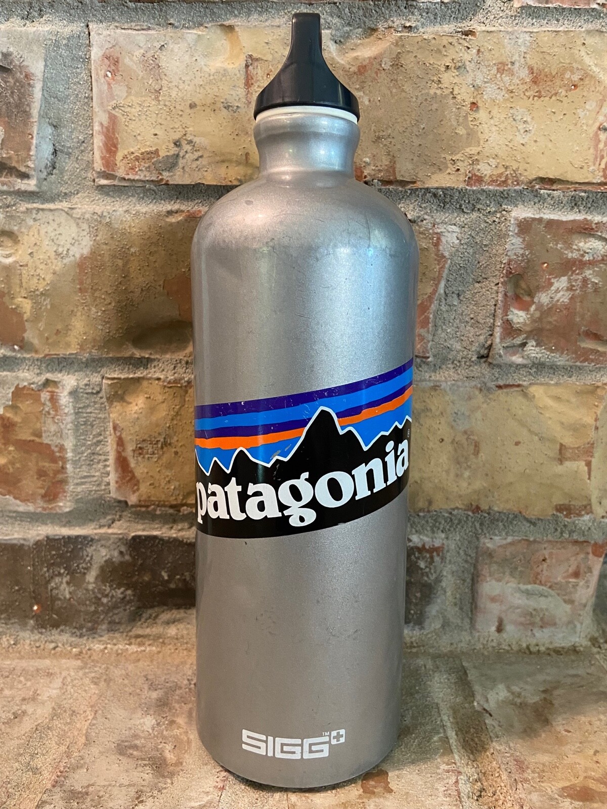 Patagonia Sigg Silver 32oz Water Bottle - Vintage 2000s Swiss Made  Switzerland