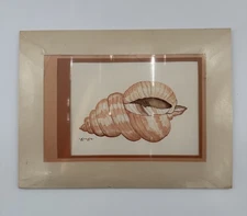 Vintage Original Watercolor Seashell Painting Betty Hale Grugin Signed
