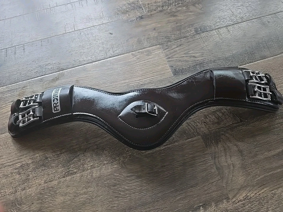 Circunferencia de doma Foto 3 de 4