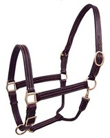 Derby Originals Triple Stitch Adjustable Leather Halters Havana Full on sale Derby Originals Triple Stitch Adjustable Leather Halters Havana Full on sale