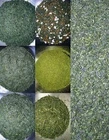 TRY JAPANESE GREEN TEA 7 Sample sets Gyokuro Sencha Kabusecha Genmaicha & more.