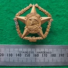 WW2 Colonial South African Regiment Botha Infantry Cap Badge Die Struck