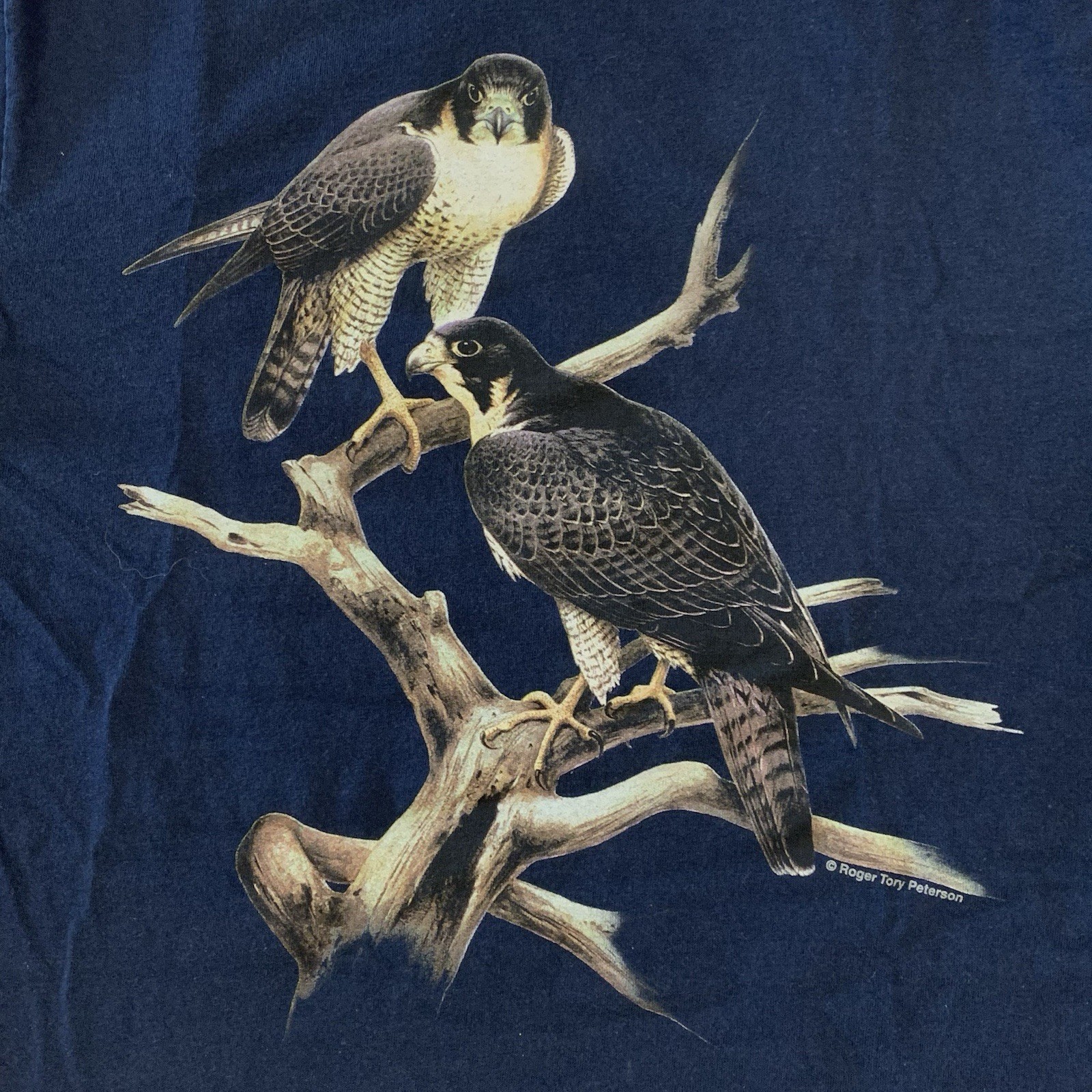 Rare 2000 Peregrine Falcon Roger Tory Peterson Navy Graphic Tee Shirt, Adult M 