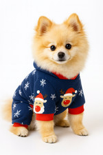 Christmas Dog Pajamas for Small Dogs   Blue Winter Puppy outfit Size S
