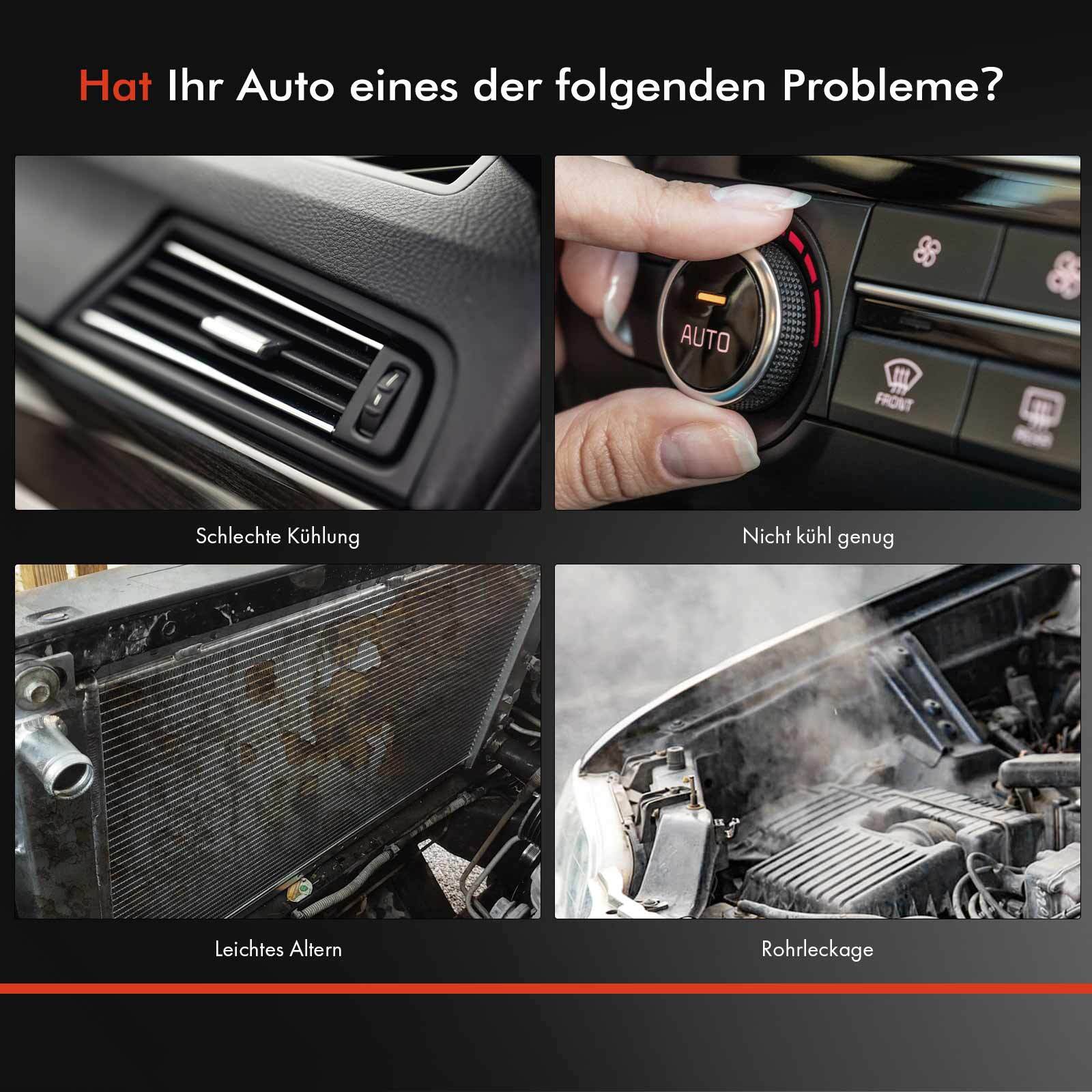 Bild 6 von 8