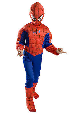 Small M 4 5 6 7 8 9 Spiderman Light up Muscle Costume boys kids Halloween Xs