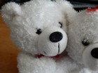 Bild 3 von 6