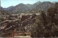 Postcard NATURE SCENE Pearblossom California CA o/19 AJ3392