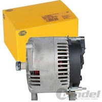 Hella Lichtmaschine Generator 100A Passend FüR Land Rover Discovery | 8EL 012