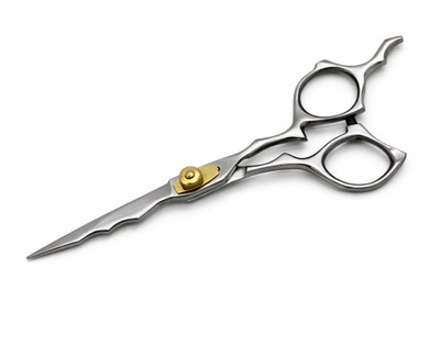 6,5'' PRO Haarschneide Schere Ausdünnung SILBER Schere Friseur Salon Friseur