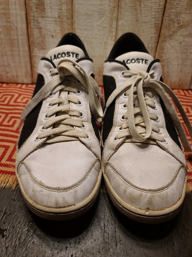 lacoste size 12