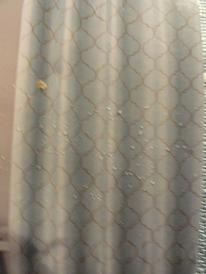 CORTINA DE DUCHA GEO TELA ~ Enrejado festoneado cálido azul verdoso bordado plateado  Foto 4 de 4