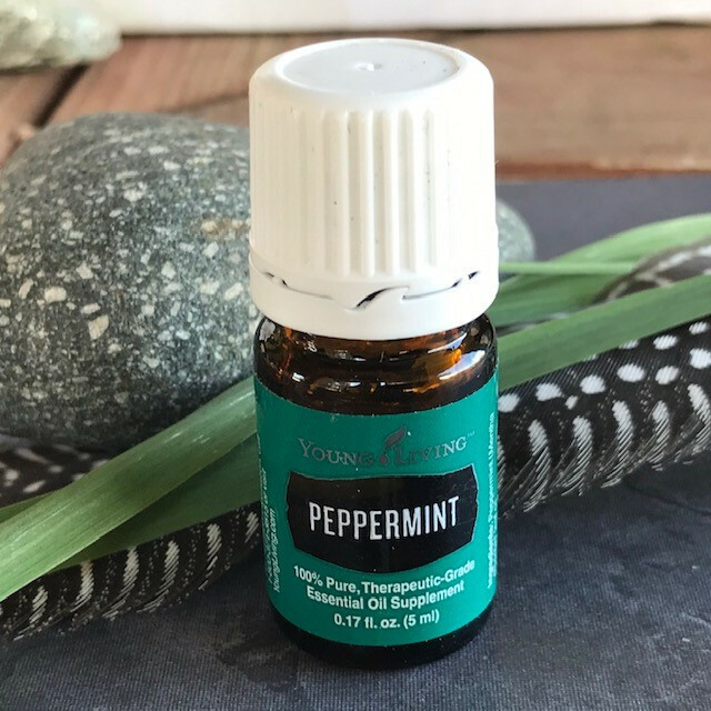 Peppermint Oil Essential Young Living 5ml NEW eBay