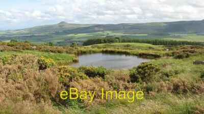 Foto 6x4 Flugteich, Pitlour Hill Strathmiglo A Pool zum Locken von Enten t c2009