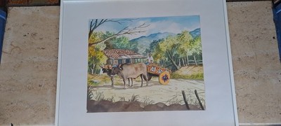 gerahmtes Aquarell''Bauer mit Ochsenkarren''Costa Ricca Malaysische Dorfszene,sign