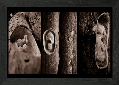 roots gerahmtes Wandbild Poster Leinwanddruck Bild