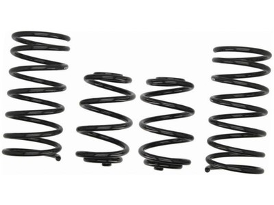 SPORTFEDERN KOMPLETT FÜR BMW 3 E30 2.0 2.5 85-93