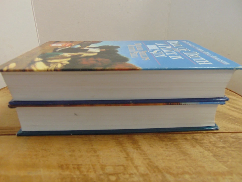 The Journals of Corrie Belle Hollister Michael Phillips Judith Pella LOT OF 2 - Image 4 of 4