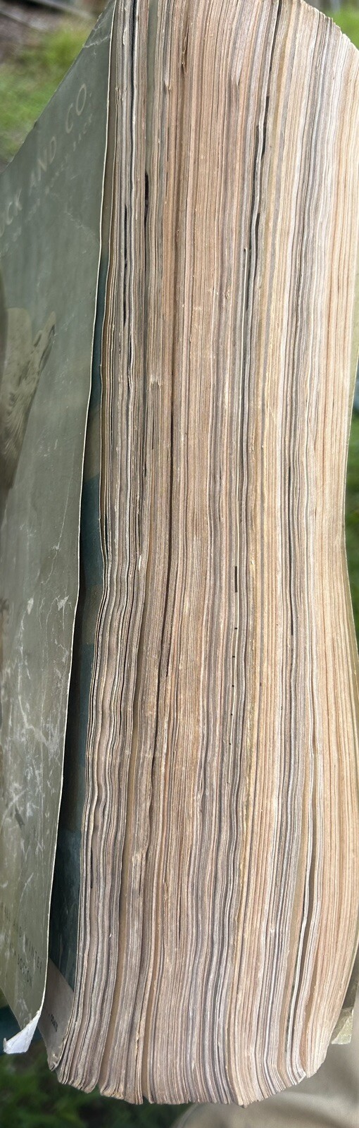 Picture 5 of 20