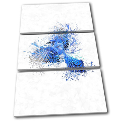 Blue Jay Bird Splash Animals TREBLE Leinwand Kunst Bild drucken