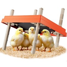 Brooder Heater for Chicks 10" x 10" with Anti Stand Lid and Adjustable Heights