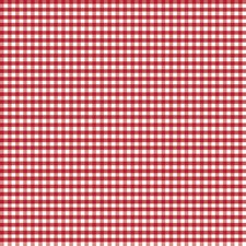 Riley Blake Designs Gingham Red C440-80