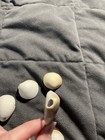 Six Shells with Holes West Palm Beach Florida — photo 2