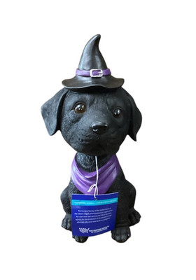 Humane Society Halloween Black Labrador Witch Bobblehead Statue 12 inches