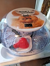 EVERYGROW Incubators for Hatching Eggs, 12 Eggs Smart Incubator with Automati...