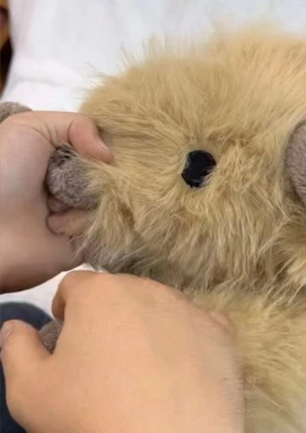 NEW Highland Cow Weighted Stuffed Animal Warm Gifts - image 4 of 4