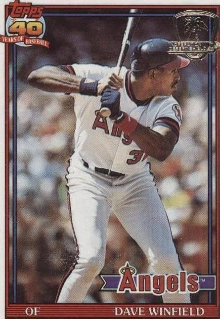 Operation Desert Shield