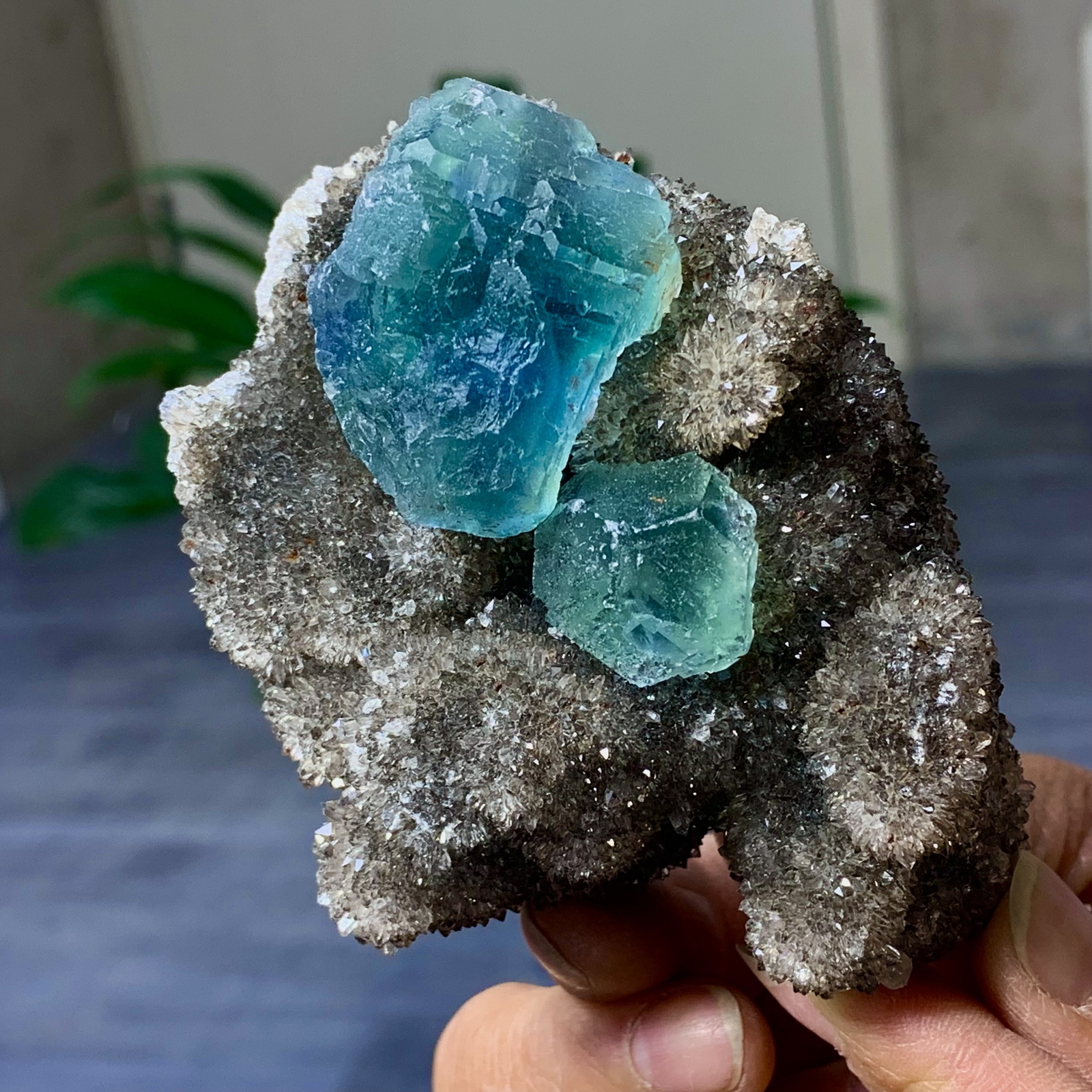 288G Rare Transparent Blue-Green Cube Fluorite Crystal Specimen from China