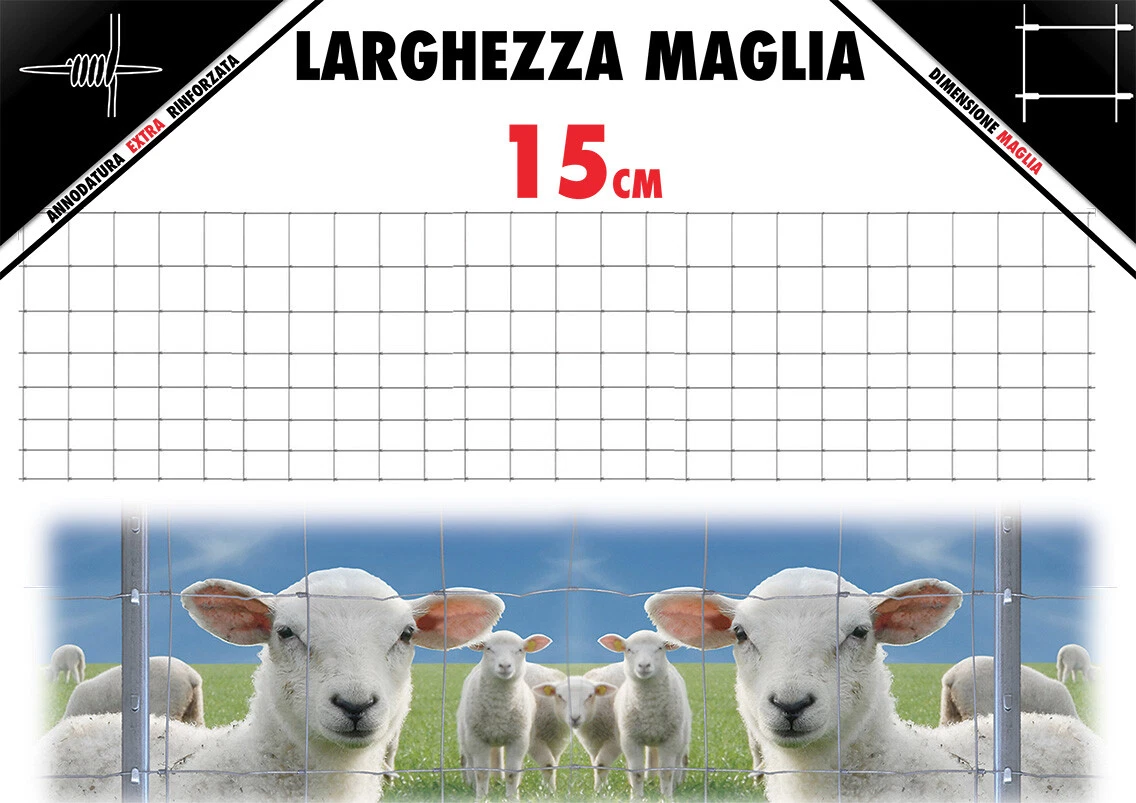 Foto 2 di 5
